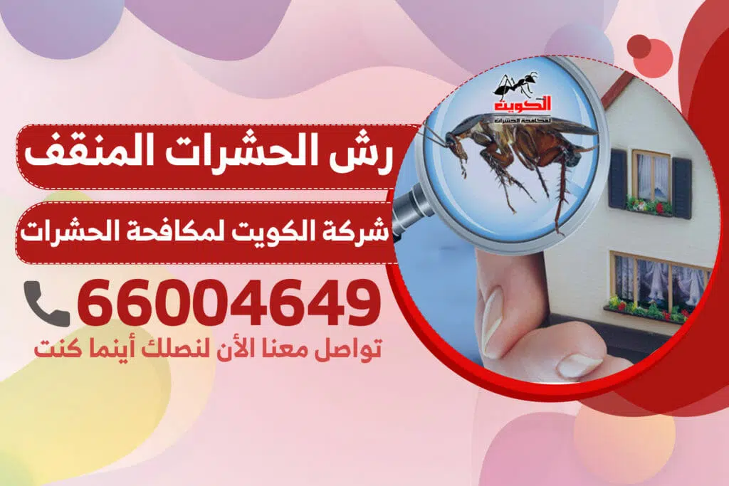 رش الحشرات المنقف