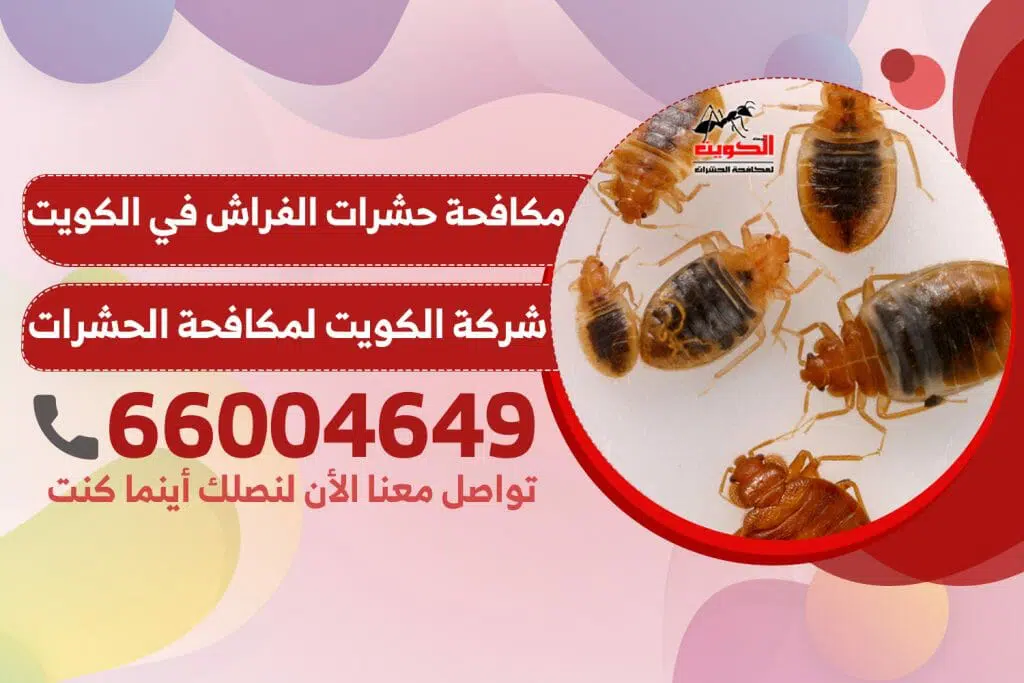 اشكال حشرات الفراش