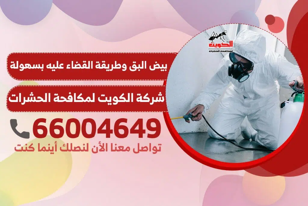 بيض البق وطريقة القضاء عليه بسهولة