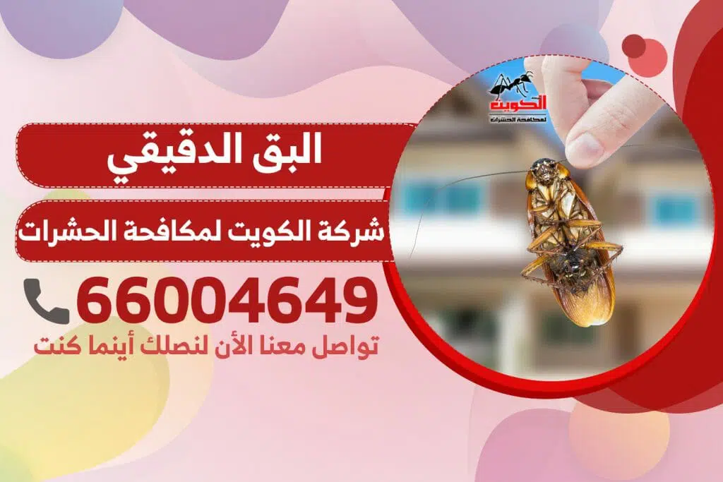 البق الدقيقي | شركة الكويت لمكافحة الحشرات