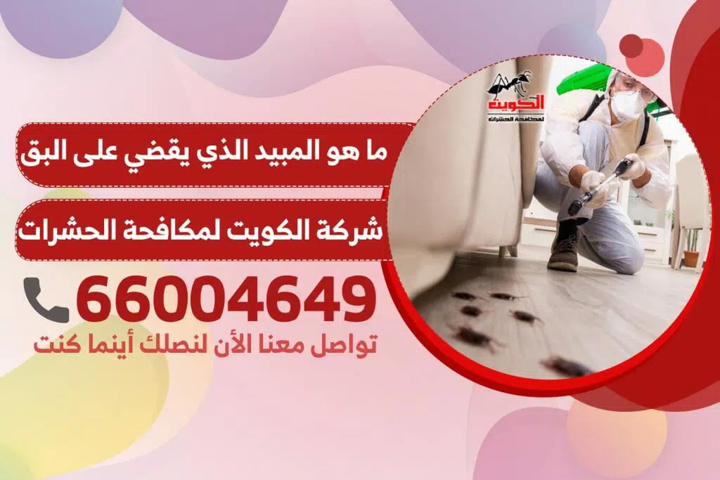 ما هو المبيد الذي يقضي على البق | شركة الكويت لمكافحة الحشرات