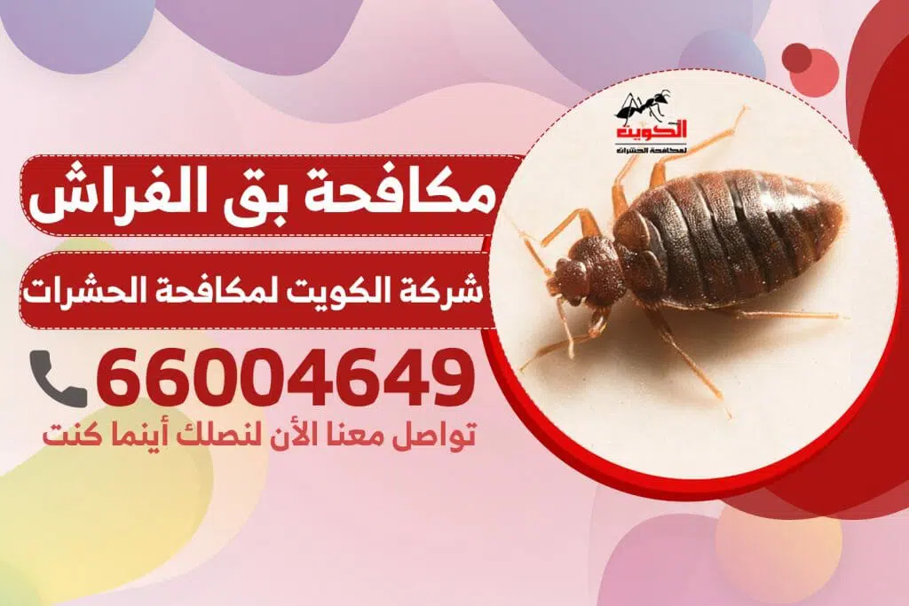 مكافحة بق الفراش | شركة الكويت لمكافحة الحشرات