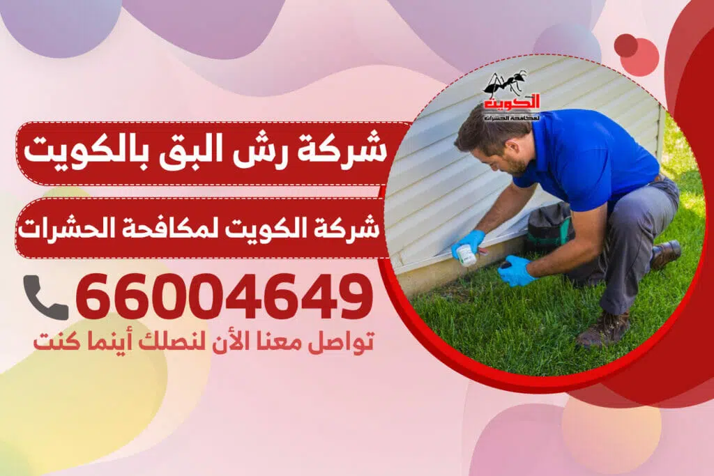شركة رش البق بالكويت