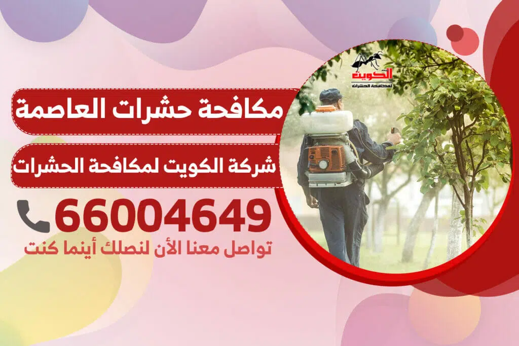 مكافحة حشرات العاصمة